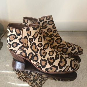 Sam Edelman Leopard Petty Booties